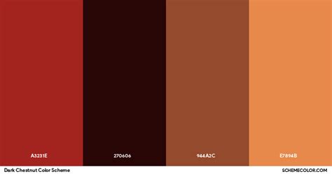 Dark Chestnut Color Scheme Palettes