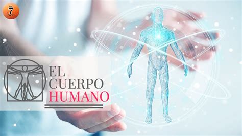 Los Datos Sobre El Cuerpo Humano Youtube