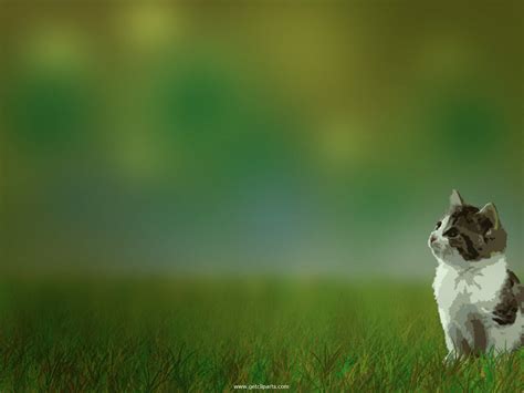 Free download Cute Animals Wallpapers 8511 Hd Wallpapers in Animals ...