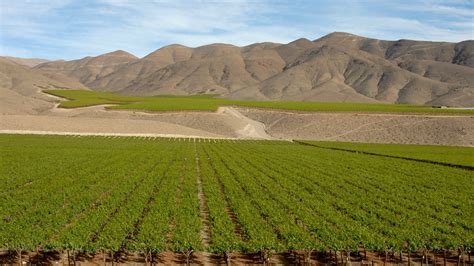 Fotos Gratis Paisaje Vino Campo Pradera Colina Valle Cultivo