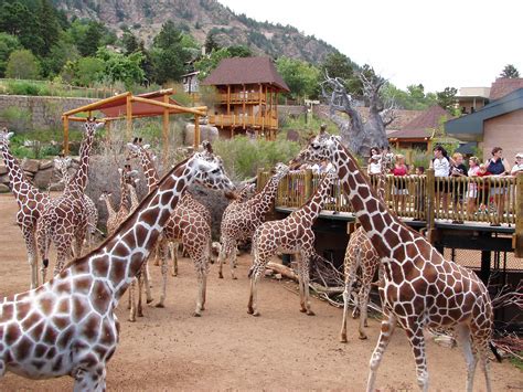 Cheyenne Mountain Zoo, Colorado Springs, Colorado, USA - Heroes Of ...