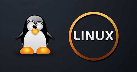 Linux Un Sistema Operativo Potente Y Gratuito Despertar Sabiendo