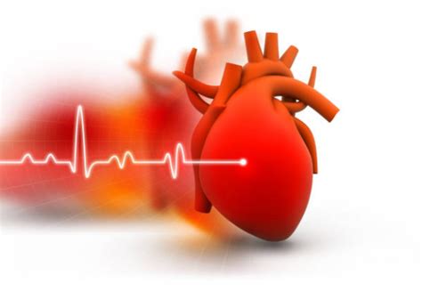 Importance Of Heart Health And Heart Check Up Best Heart Hospital