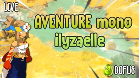 Live Aventure De Ilyzaelle Lvl Up Kamas Au Programme Objectif