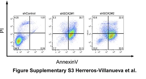 Sox2 Promotes Dedifferentiation And Imparts Stem Cell Like Features To