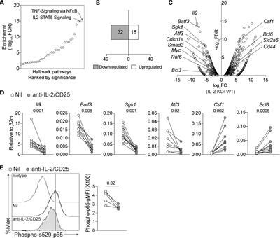 Frontiers Il Promotes Il Producing Th Cell Differentiation In Il