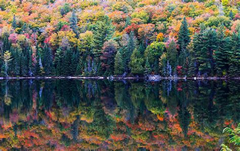 Fall Colours Ontario: The Ultimate Fall Hike