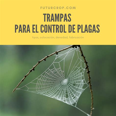 Trampas Para El Control De Plagas Futurcrop