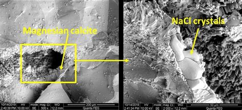 Sem Image Depicting Preferential Deposition Of Nacl Crystals Over