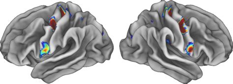 Scan [image] Eurekalert Science News Releases