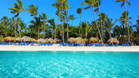 16 Best Hotels in Punta Cana. Hotels from C$ 39/night - KAYAK