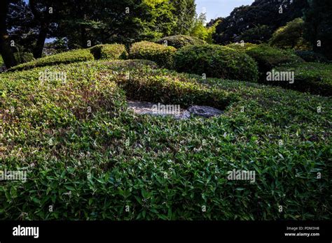 Banna Ji Garden Banna Ji En Ashikaga Es Uno De Los Tesoros Nacionales