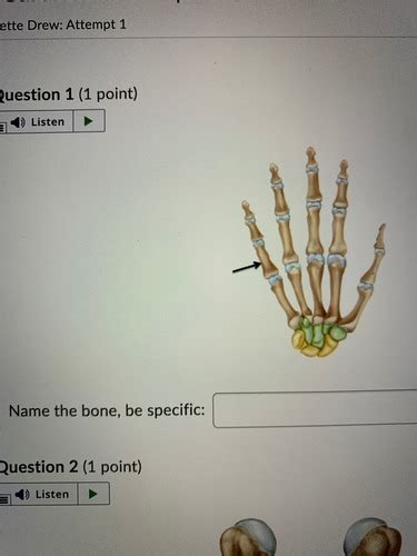 Upper Extremity Flashcards Quizlet