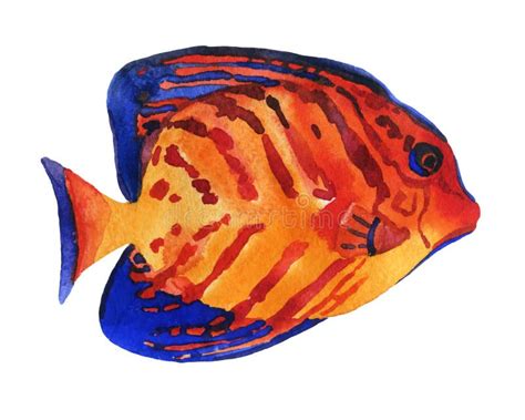 Eine Sammlung Tropische Fische Gemalt Mit Aquarell Stock Abbildung