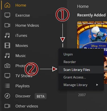 How To Scan A Library In Plex Plexopedia