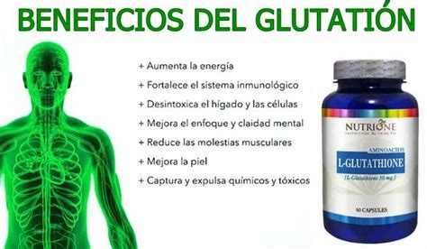 Propiedades Y Funciones Del Glutati N Para Mejorar La Salud