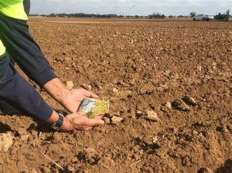 Farmer In Focus Alex Noonan Birchip Cropping Group