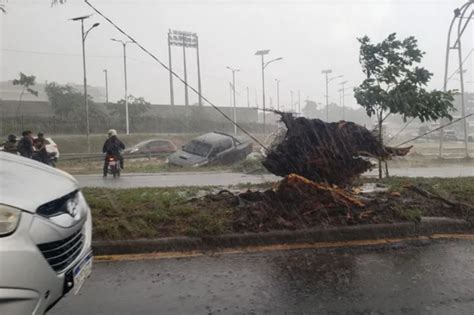 Temporal en Paraguay deja más de 20 árboles caídos y tres avionetas