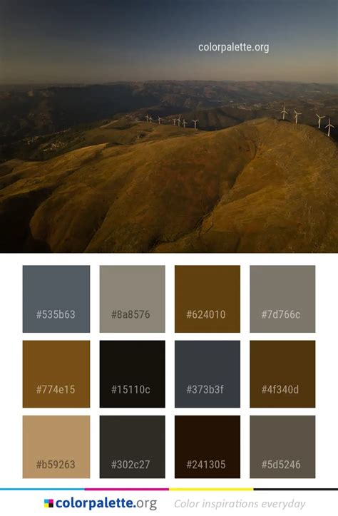 Wood Bark Color Palette Ideas