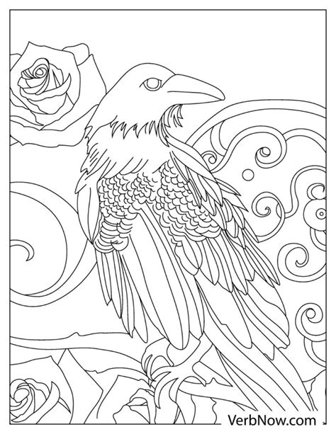 Raven Coloring Page Chulkcherida