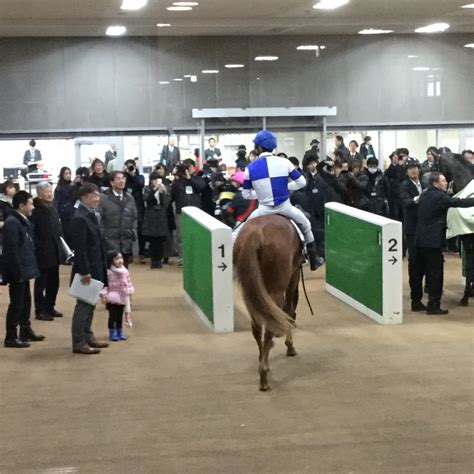 東京競馬場で逢おう 根岸s 府中白糸台日記