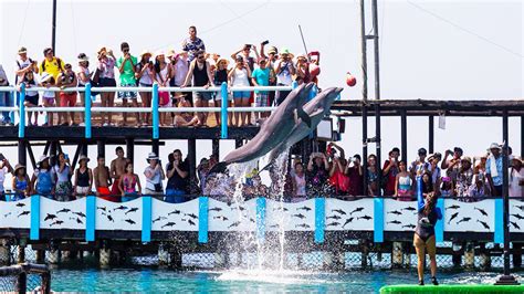 Oceanario Isla Del Rosario Cartagena Tour Experiences