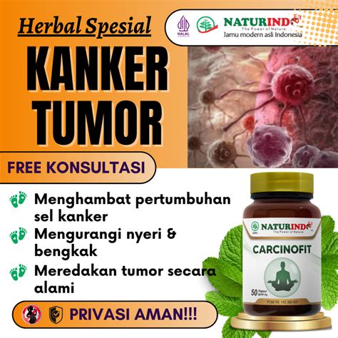 Jual Obat Kanker Dan Tumor Paling Ampuh Untuk Anus Serviks Usus Hati