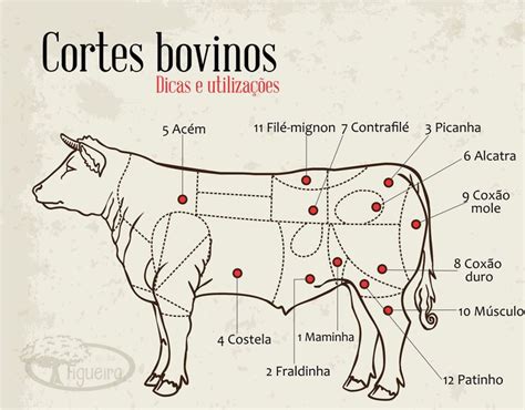 Tipos De Cortes Da Carne Bovina Almanaque Culinário Cortes Do Boi