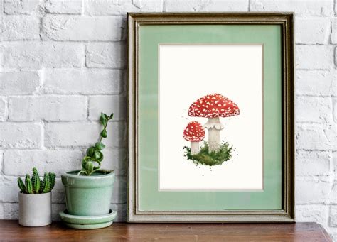 Red Toadstool Watercolor Painting Amanita Muscaria Fly Etsy