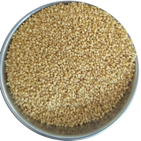 Organic Foxtail Millet Seeds High In Protein At Rs 120 Kg In Jaipur