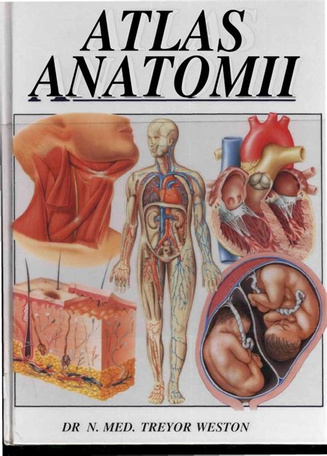 Pdf Atlas Anatomii Dokumen Tips