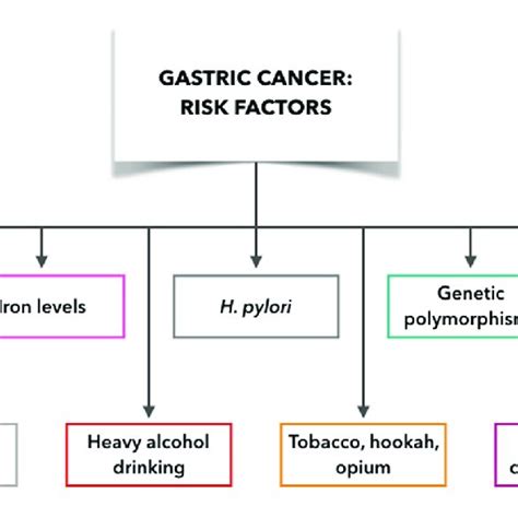 | Gastric cancer risk factors: what make people more likely to get ...