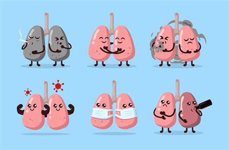 Surprising Fun Facts About The Respiratory System