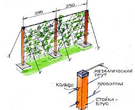 Металлические столбики для винограда