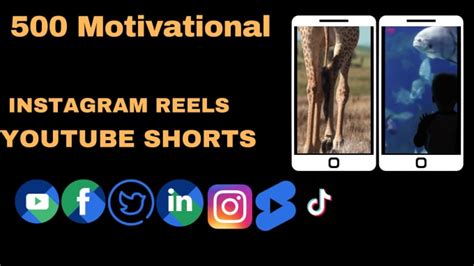 Create Motivational Instagram Reels And Youtube Shorts By Mali6368 Fiverr