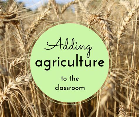 Women In Ag Adding Agriculture To The Classroom