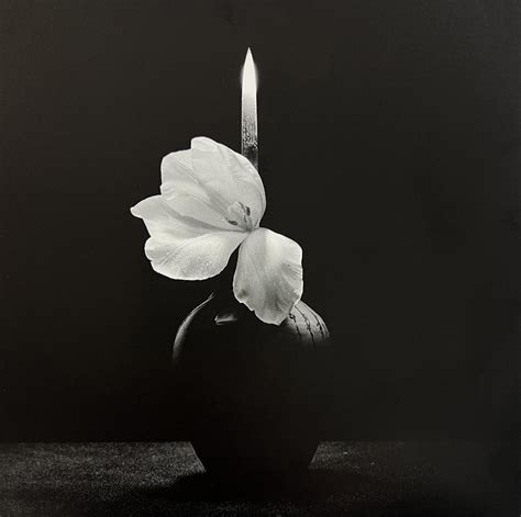 At Auction Robert Mapplethorpe Robert Mapplethorpe Flower With Knife