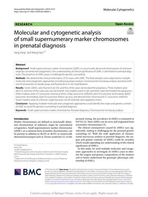 Pdf Molecular And Cytogenetic Analysis Of Small Supernumerary Marker Chromosomes In Prenatal