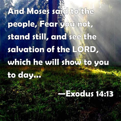 Exodus And Moses Said To The People Fear You Not Stand Still