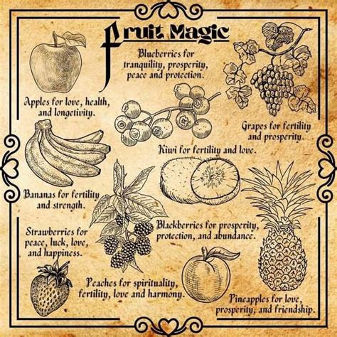 Pin by Tara Gray on Rituals &&& Magic | Witch books, Witchcraft spell ...