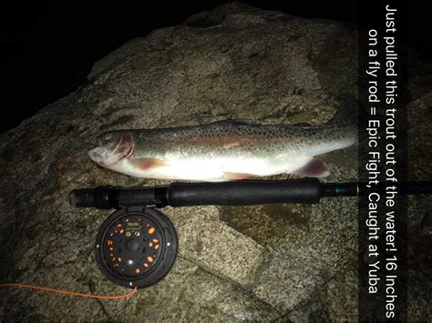 Yuba River Fishing Report, California