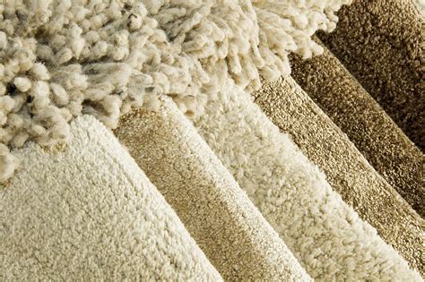 Should I Buy a Wool Carpet? - Answer by Fantastic Cleaners