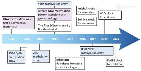 Epigenetic Clocks In The Pediatric Population When And Why They Tick