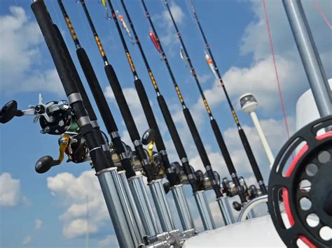 Best Fishing Rods For Beginners In 2023 AquariumPub