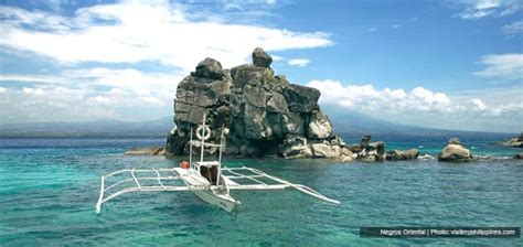 Apo Island Philippine Gems Pwc Philippines