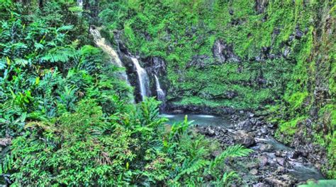 Wallpaper Waterfall Beach Palm Trees Jungle Stream Hawaii