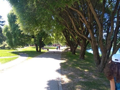 Город зелёного цвета. Вот вам немного моего летнего города | Пикабу