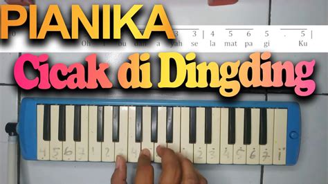 PIANIKA LAGU CICAK DI DINDING YouTube