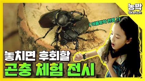 7월 영상스케치 여름 곤충 특화전시718~820 신기한 곤충 만져보고 체험하러 오세요 국립농업박물관