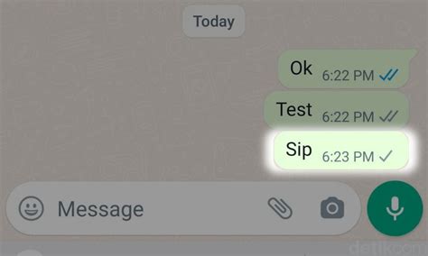 Cara Mengetahui WA Diblokir Tanpa Chat Hapus Kontak Undang Group